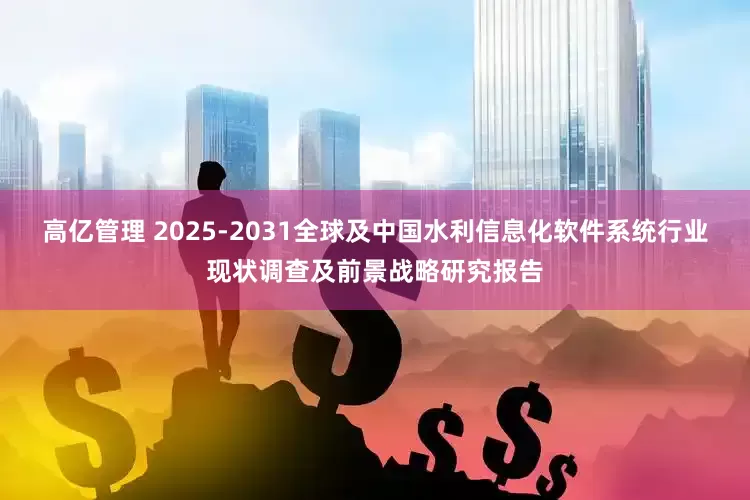 高亿管理 2025-2031全球及中国水利信息化软件系统行业现状调查及前景战略研究报告